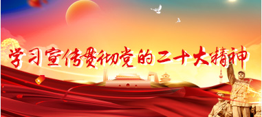 学习宣传贯彻党的二十大精神